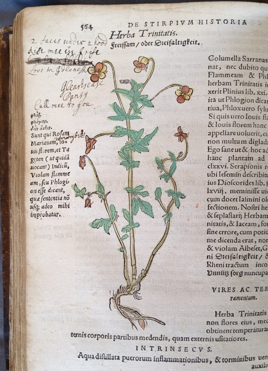 Marsh's Library tweet media