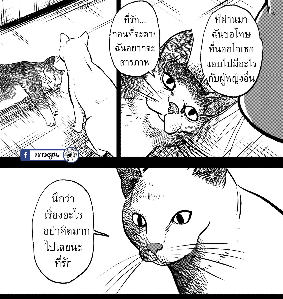 PONGVISA25's tweet photo. https://t.co/PEHLmnGlP2