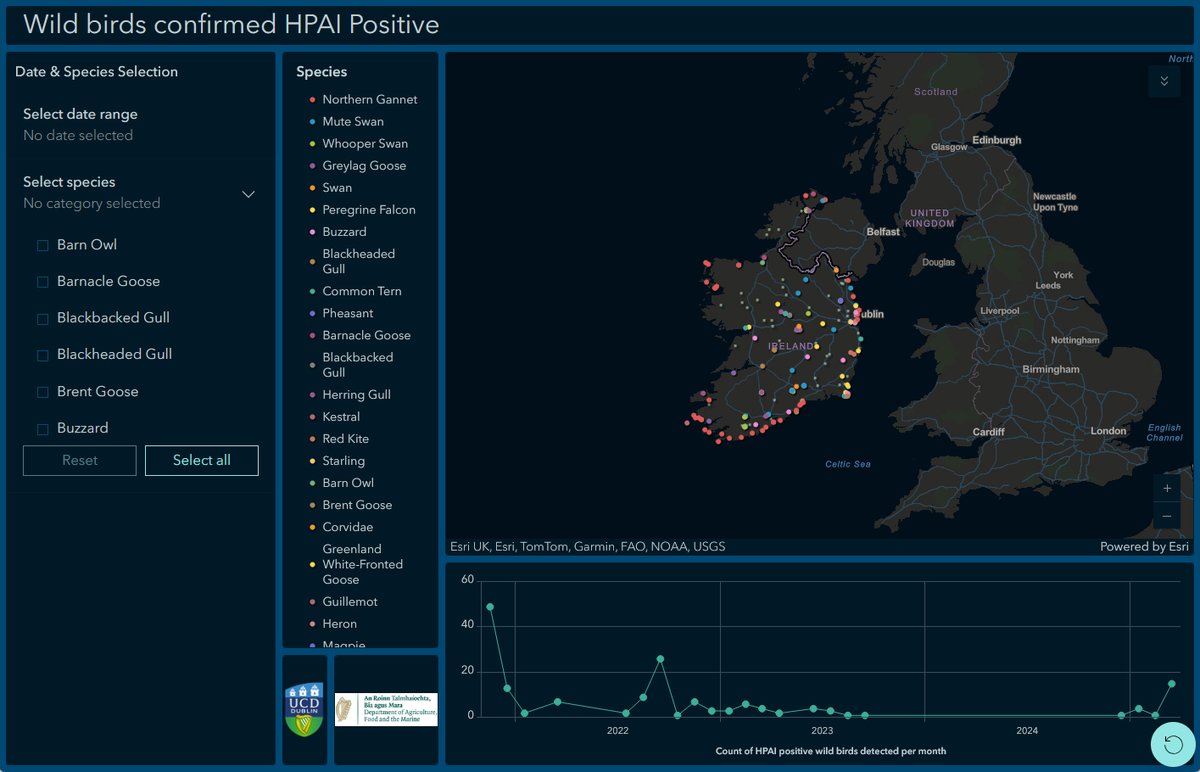 UCD_CVERA's tweet image. A dashboard map of wild birds in Ireland that are confirmed to be #HighlyPathogenicAvianInfluenza (HPAI) positive can be found at tinyurl.com/5dvv2ccm. The dashboard is part of a research project conducted by @UCD_CVERA for @agriculture_ie