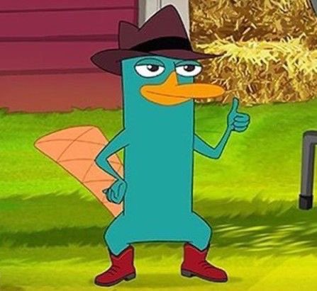 aut3z ⚔️ tweet media