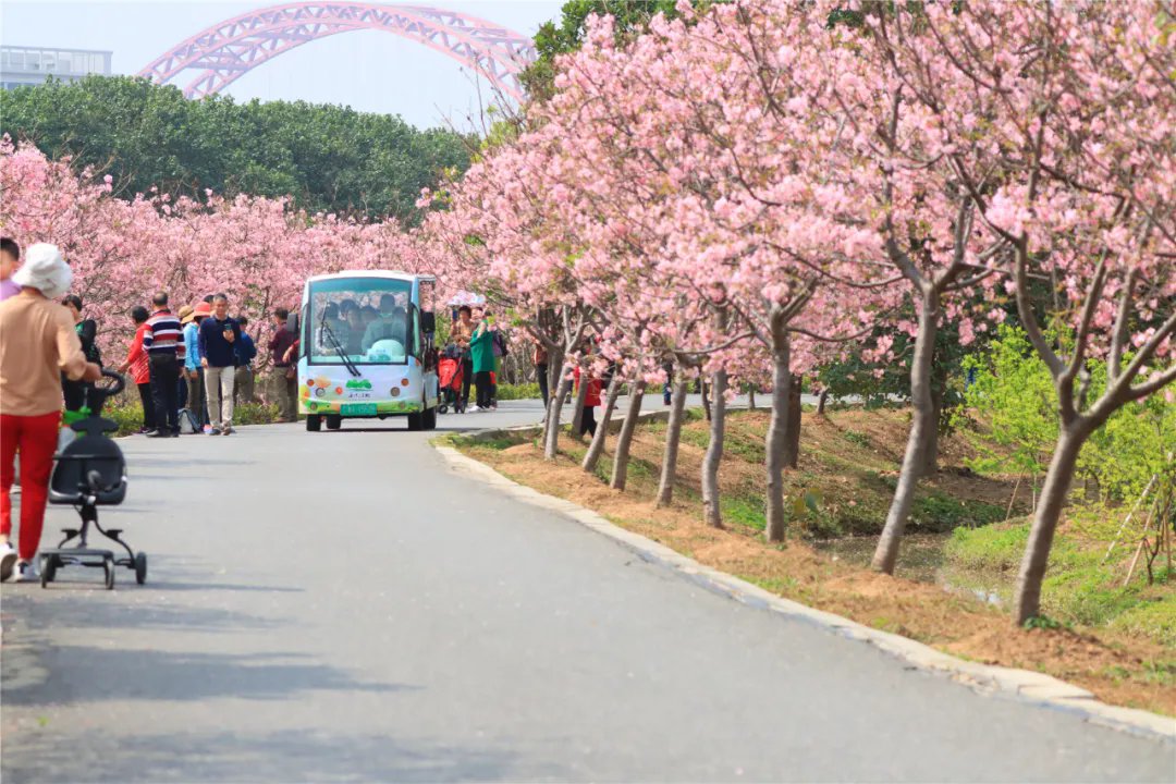 iGuangdong's tweet photo. #China Tourism Academy's latest report reveals the top 10 flower-viewing destinations.🤩

Haizhu National Wetland Park in #Guangzhou made the list for its year-round floral diversity.🍃🌼🌸 Come enjoy the blooming beauty! #VisitGD @SceneryofChina https://t.co/pxzSk6XpPv