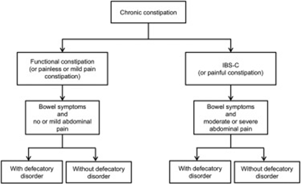 ibs_ce's tweet photo. 8) In the work-up, be sure to assess for a rectal evacuation disorder, which necessitates pelvic floor physical therapy with biofeedback. Suggestive symptoms: #bloating, #straining, incomplete evacuation, #digitation. See 🔓 https://t.co/xGOQyX3v88
AND https://t.co/Cs6O5sDls5 https://t.co/pvOxaQZYpz
