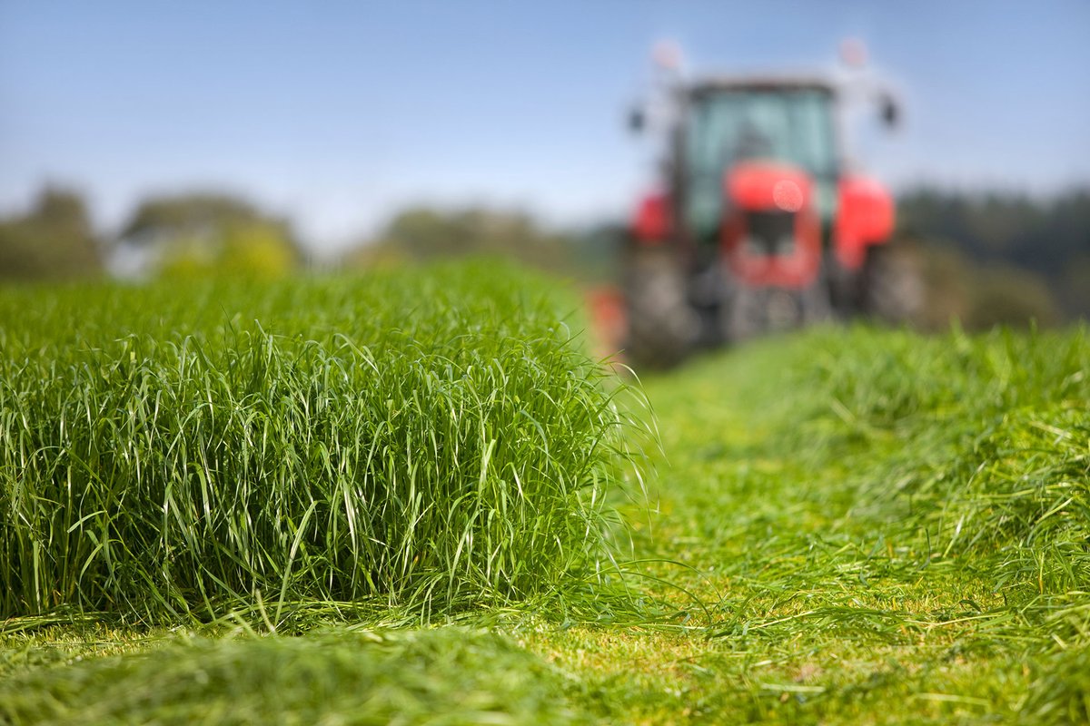 Target cattle slurry to silage fields as it’s a valuable source of K and 1st cut silage crops require 80 to 100 units/ac. For more info see: teagasc.ie/media/website/…
