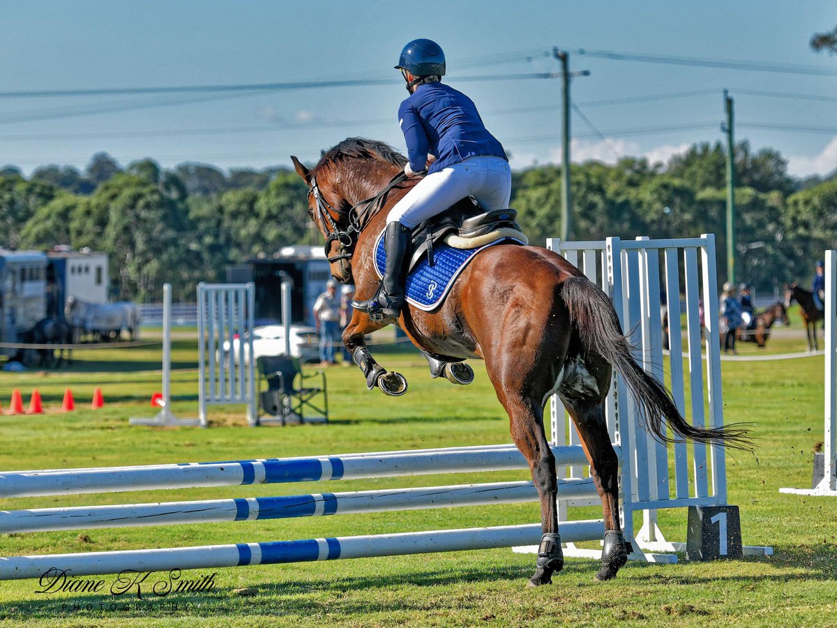 We ♥️ to see our former gallopers thriving OTT &amp; that’s exactly what Southern Lad &amp; his owner Poppy are doing in the dressage and showjump arena! The Lad was one of our stable stalwarts- retiring in 2023 with 5 wins, 15 placings and $745k in prize money. 
📸: Ash Morton Creative