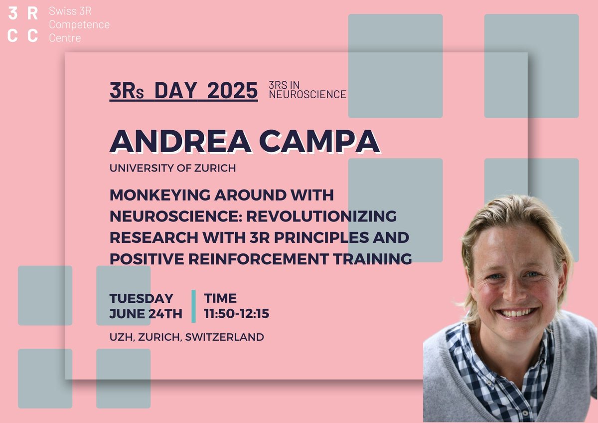 Swiss3RCC's tweet image. We’re thrilled to welcome Andrea Campa (@uzh_ch) to #Swiss3RsDay2025!

Andrea pioneers an in-cage training system using #PositiveReinforcement &amp;amp; group housing — giving macaques the freedom to choose how &amp;amp; when they engage in research.

#3Rs #AnimalWelfare