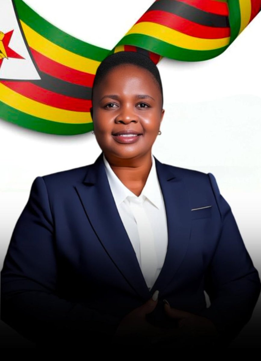 A New Great Zimbabwe For Everyone led by a humble President Chamisa. Decent life will be a right not a privilege.