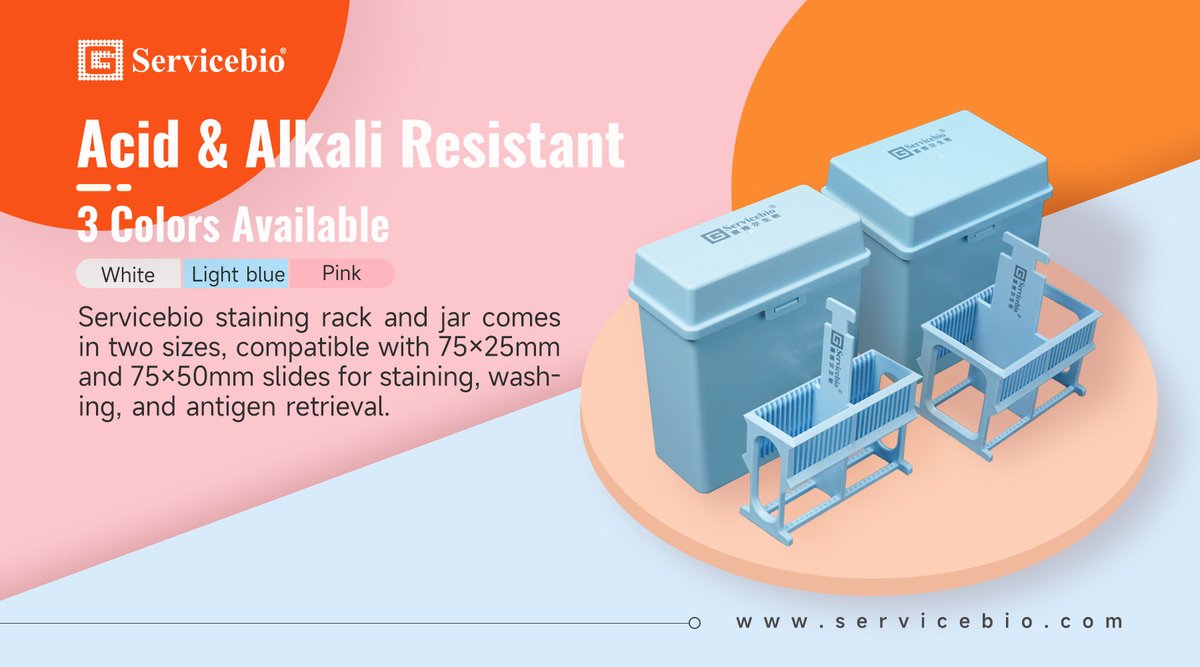 WUHANSERVICEBIO's tweet image. 🌟Product Spotlight: Slide Staining Rack &amp;amp; Staining Jar
✅ 24-slide capacity
✅ 3 colors 🌈
✅ Chem-proof armor 🛡️
Perfect for busy labs!🤩
#LabTool #LabLife #LabConsumables #Servicebio