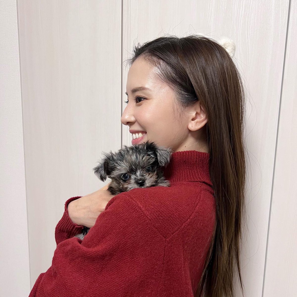 Asaka23323's tweet photo. おこげちゃんがお家にやってきた日🐶
(妹のわんちゃん🐶) https://t.co/NogFVWOTFW