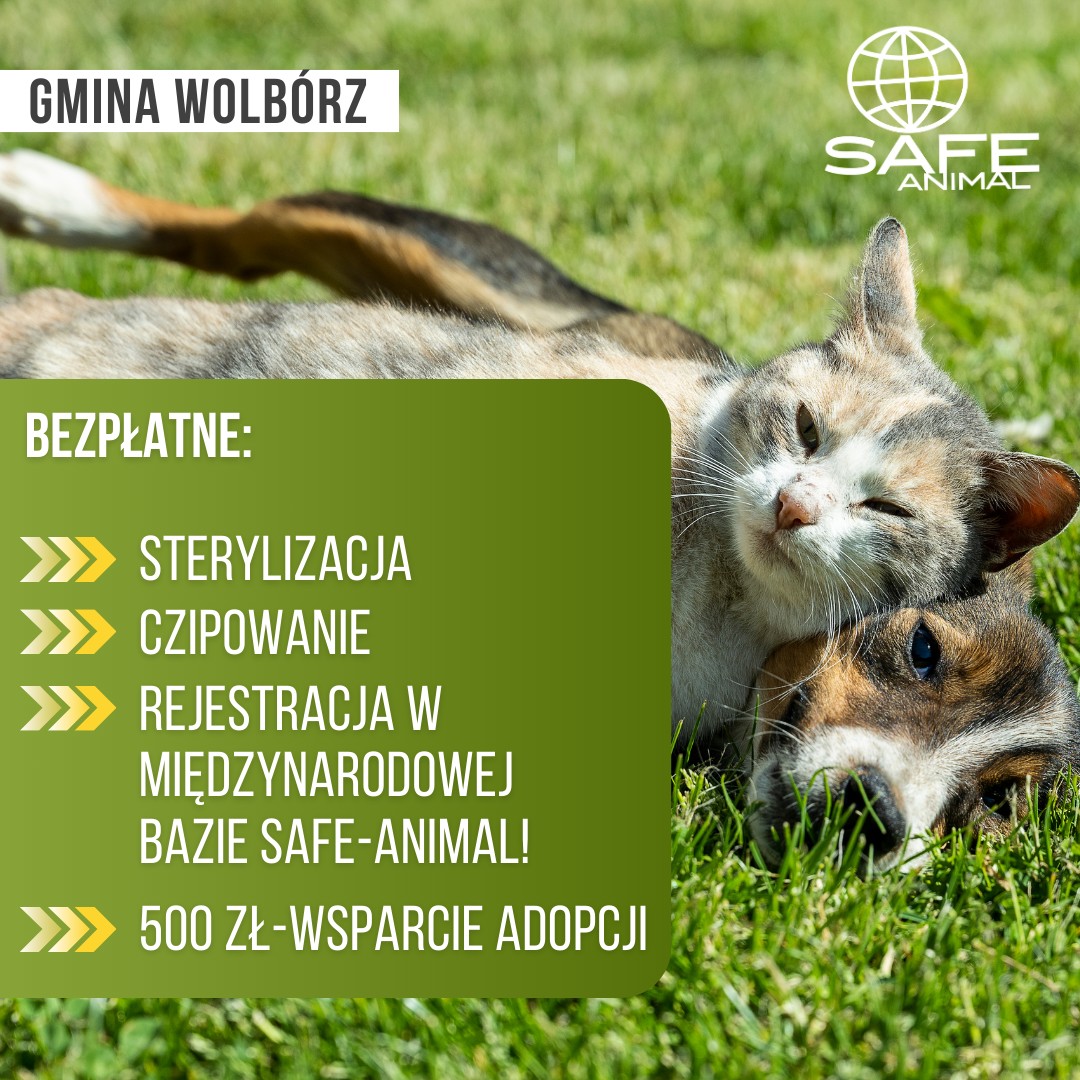 Gmina #Wolbórz wspiera mieszkańców w opiece nad zwierzętami. Mieszkańcy mogą skorzystać z dofinansowania do zabiegu kastracji oraz z bezpłatnego znakowania zwierząt wraz z rejestracją w #SAFEANIMAL  Szczegóły: wolborz.eu/polecamy-t88/p… <a href="/Kwiatkowski2011/">Krzysztof Kwiatkowski</a> <a href="/luw_lodz/">Łódzki Urząd Wojewódzki w Łodzi</a> <a href="/lodzkiePL/">Łódzkie dla Ciebie</a>