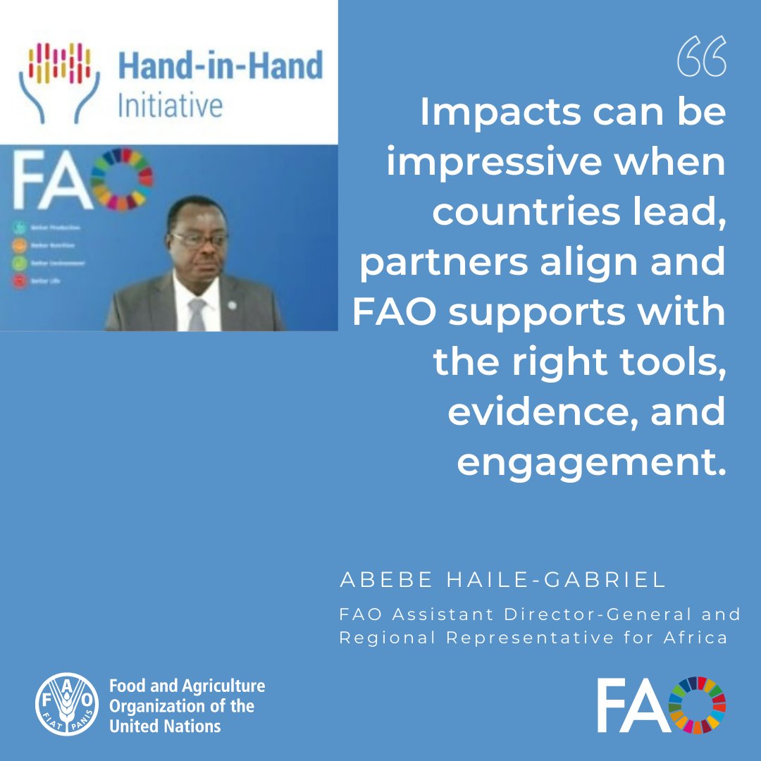 FAOAfricaADG (@faoafricaadg) on Twitter photo A cross-regional learning session on the #HandinHand Initiative has looked at how we can enhance the business model for accelerated agrifood systems transformation.
FAO's <a href="/AbebeHGabriel/">Abebe Haile-Gabriel</a> says the strength of the Initiative lies in its country-led model. A cross-regional learning session on the #HandinHand Initiative has looked at how we can enhance the business model for accelerated agrifood systems transformation.
FAO's <a href="/AbebeHGabriel/">Abebe Haile-Gabriel</a> says the strength of the Initiative lies in its country-led model.