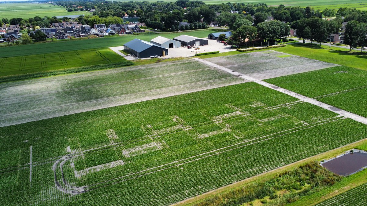 Uitnodiging voor Praktijkdag BIET kennis!🌱 Ontdek op 10 juli 2025 in Valthermond strategieën voor rendabele en duurzame bietenteelt, volg rondleidingen, of bezoek de bedrijvenmarkt. Gratis toegang, parkeren, hapje en drankje. Meer info: irs.nl/praktijkdag2025