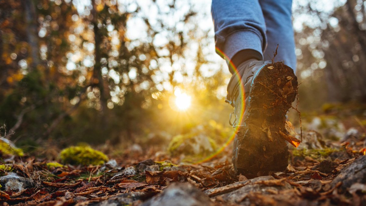 Every day, we make countless health-related choices – some intentional, others automatic. But what shapes these behaviours and how can we support positive change?

Read Dr Alexandra Caulfield's blog reflecting on our Health Behaviour Change short course: bit.ly/42xh2L4