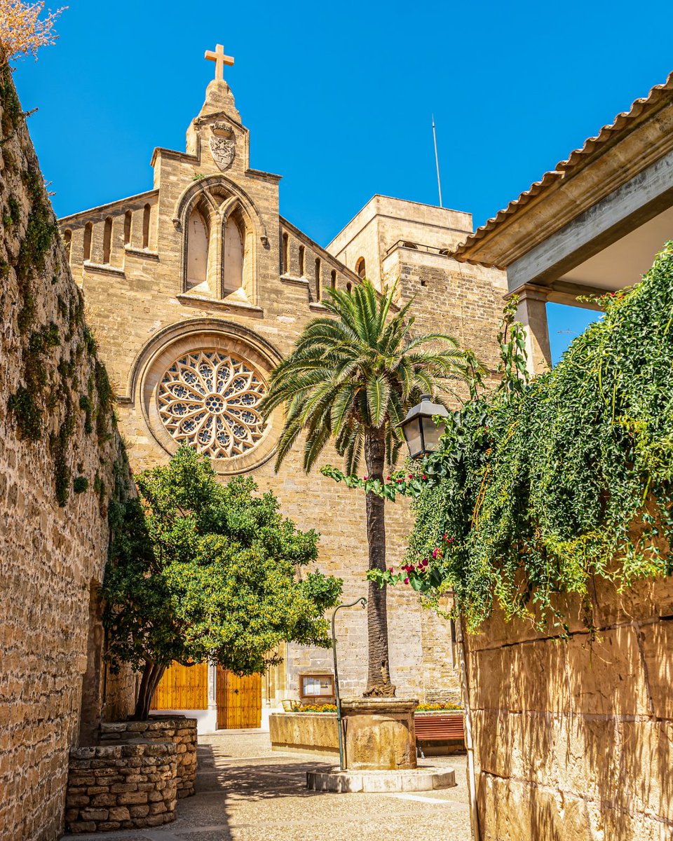 BalearicTour's tweet photo. Strolling through Alcúdia (#Mallorca) is like walking through centuries of history. 📆

Its medieval walls, cobbled streets, and Roman heritage make it a destination where past and present meet, through history, art, gastronomy, and the sea. 💚

#islasbaleares #alcúdia #illesbalears #visitmallorca #travel #history