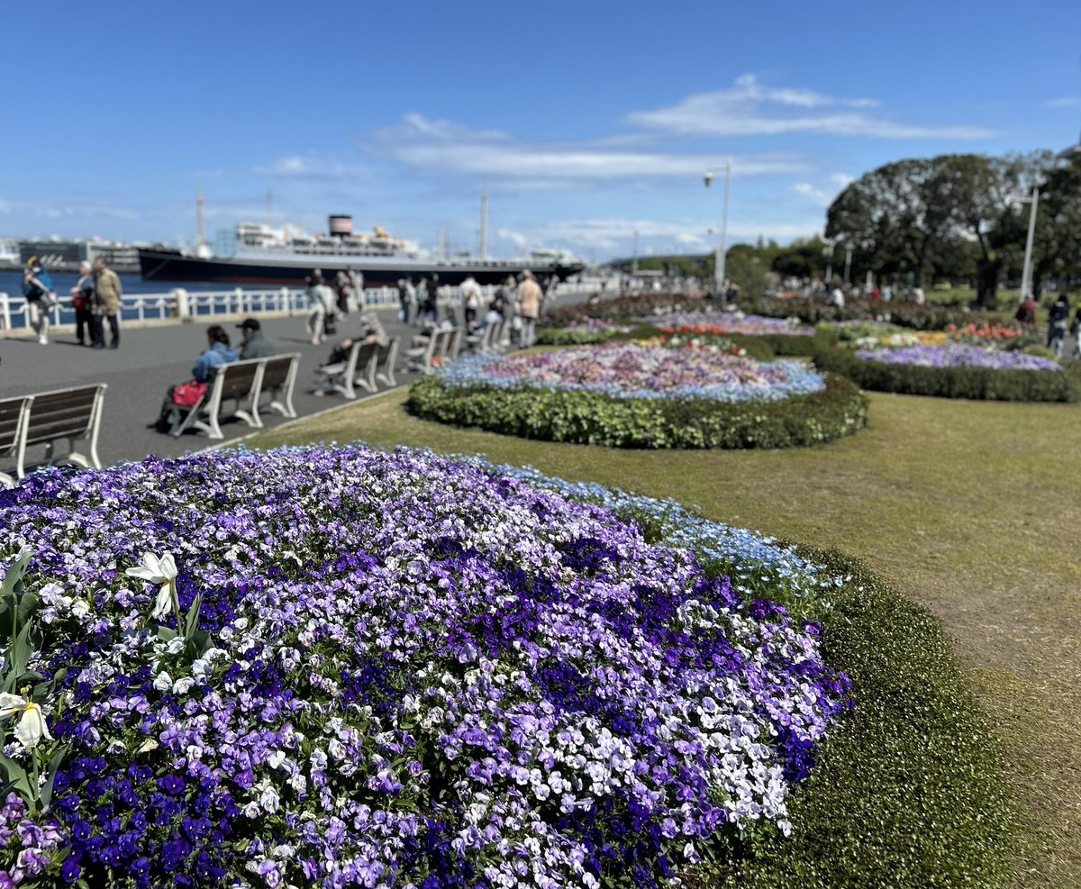 横浜公園〜日本大通り〜山下公園へとつながるガーデンネックレス横浜🌷🌷🌷
LOCAL BOOK STORE Kita.の「magic hour」もカラフルな春バージョンです。「絵本屋だっこ」さんや横浜こども読書パークでいただいた「りんごプロジェクト」さんのチラシを補充しました。ご自由にお取りください♪