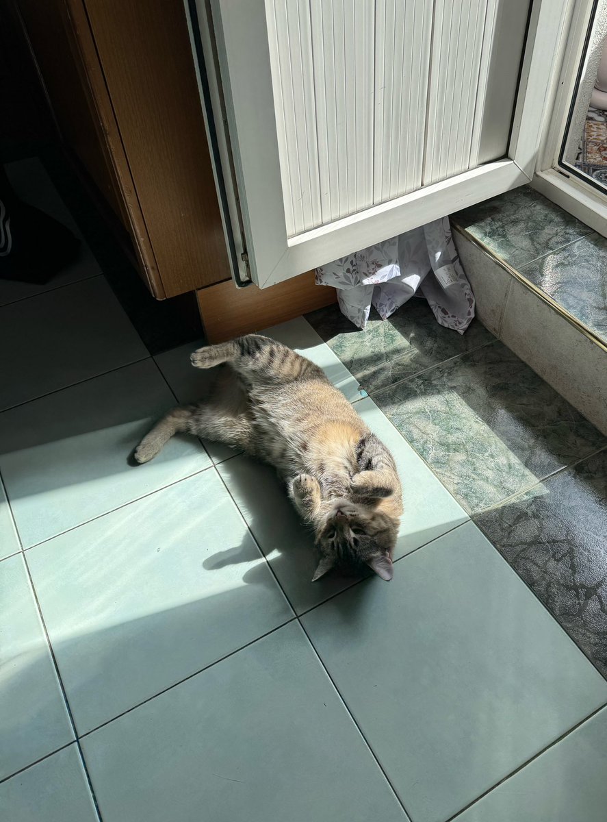 Чечевится на солнышке :D