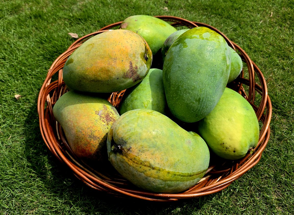 sanjeeb panda tweet media