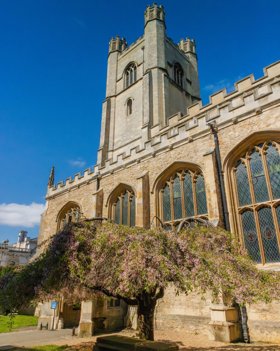 Cambridge University (@cambridge_uni) on Twitter photo Everyone is welcome to observe Holy Week with <a href="/GreatStMarys/">Great St Mary's, The University Church, Cambridge</a>, the University Church βͺοΈ
Join us for services on Maundy Thursday, Good Friday and Easter Sunday.
Find out more here π
greatstmarys.org
πΈ Lloyd Mann Everyone is welcome to observe Holy Week with <a href="/GreatStMarys/">Great St Mary's, The University Church, Cambridge</a>, the University Church βͺοΈ
Join us for services on Maundy Thursday, Good Friday and Easter Sunday.
Find out more here π
greatstmarys.org
πΈ Lloyd Mann