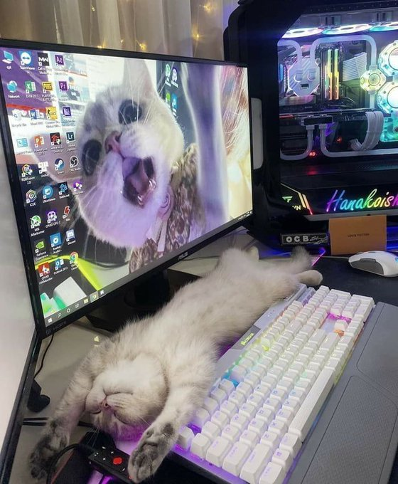 LearnWithBishal's tweet image. 8 addictive and fun websites you didn’t know existed:

[🔖 Don’t lose them]