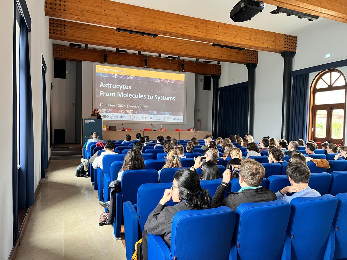 Department of Biology – University of Padova (@dibio_unipd) on Twitter photo This week, the EMBO Workshop titled "Astrocytes: from molecules to systems" took place on the island of San Servolo, Venice (Italy). Thanks to Laura Civiero from the DiBio Department, who played an active role in organising this international event.
#EMBOastrocytes
<a href="/LauCiviero/">Laura Civiero</a> This week, the EMBO Workshop titled "Astrocytes: from molecules to systems" took place on the island of San Servolo, Venice (Italy). Thanks to Laura Civiero from the DiBio Department, who played an active role in organising this international event.
#EMBOastrocytes
<a href="/LauCiviero/">Laura Civiero</a>