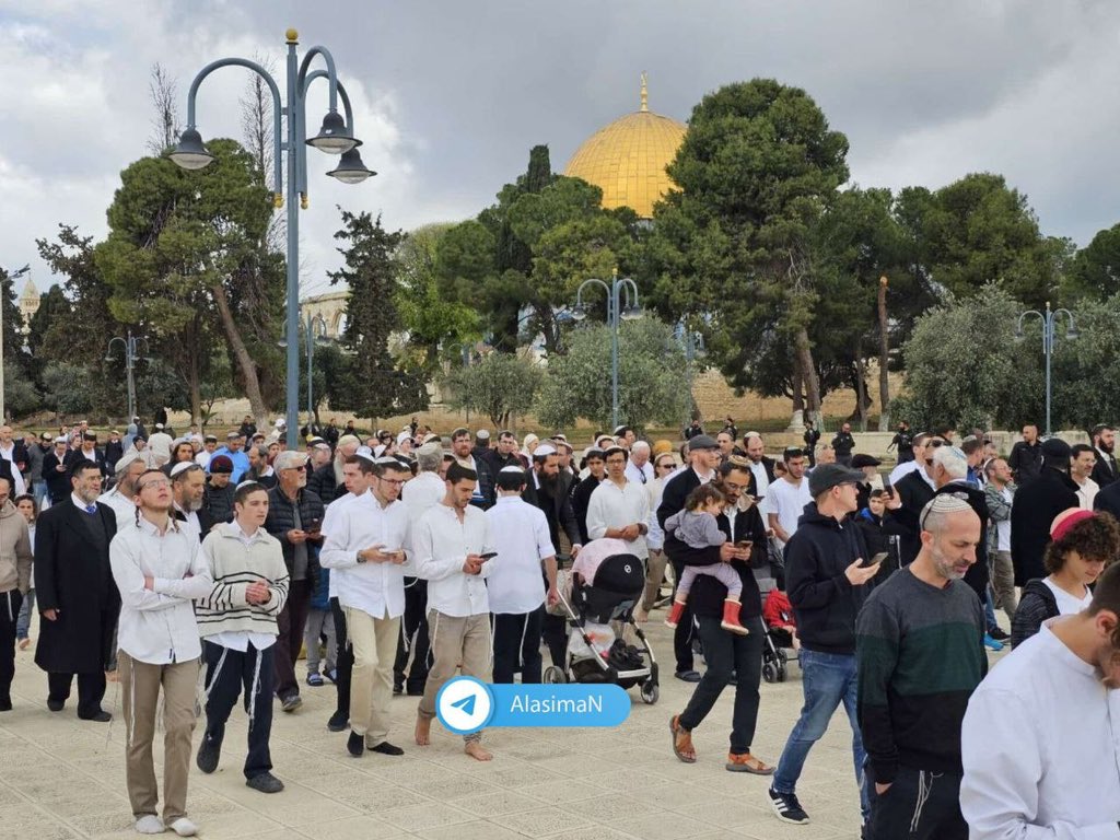AbujomaaGaza's tweet image. Thousands of extremist illegal zionist settlers have been desecrating Al Aqsa Mosque since today morning!