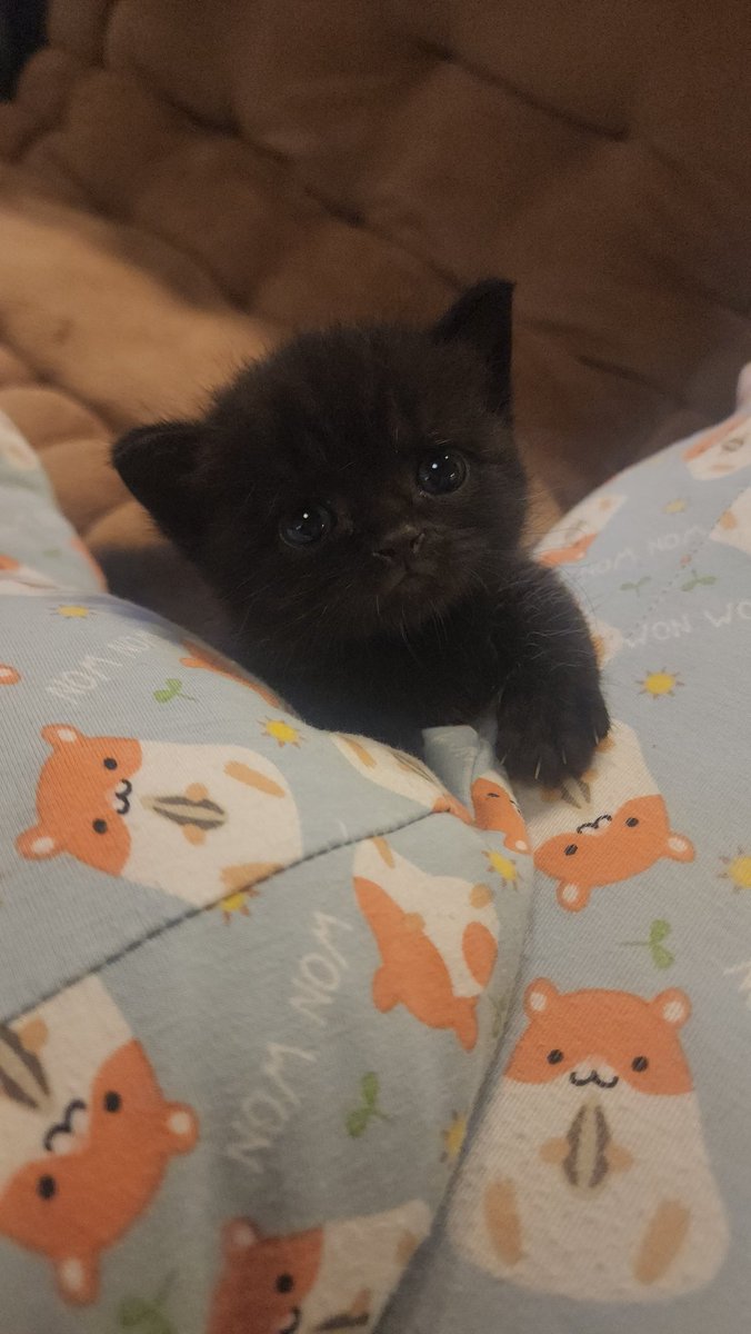 Look who's 3 weeks now ♡