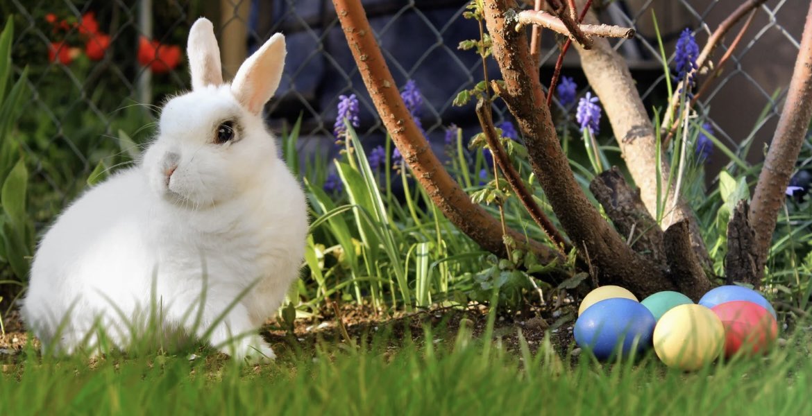 oconnorroofing tweet media