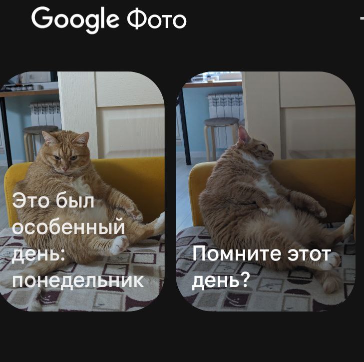 куколд колдуна (@esipenokal) on Twitter photo 