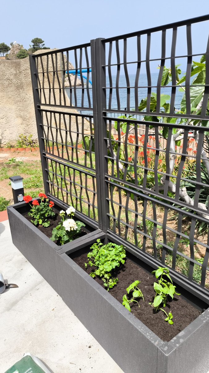 Gm legends☀️

Today gardener for my guest ✌️🔥🧑‍🌾