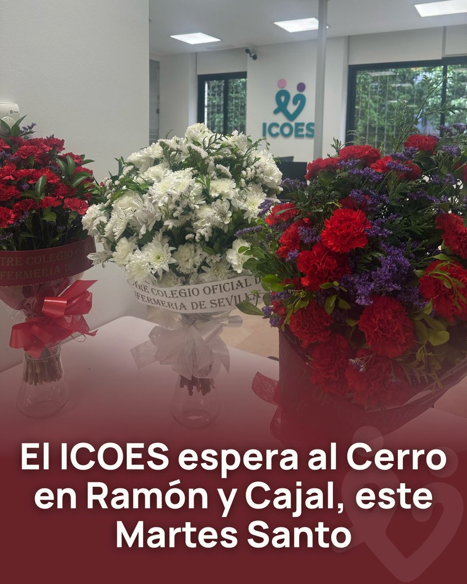 Colegio de Enfermería de Sevilla tweet media