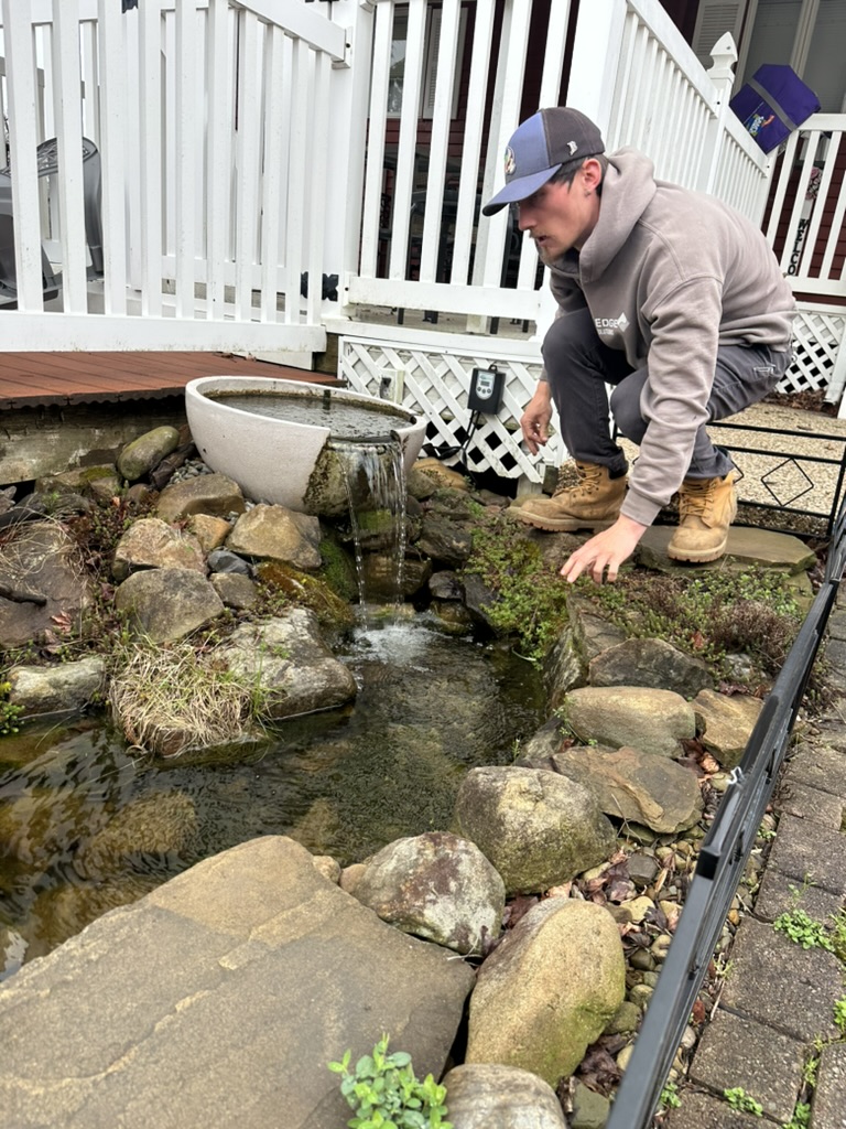 Early Spring Pond Tips
