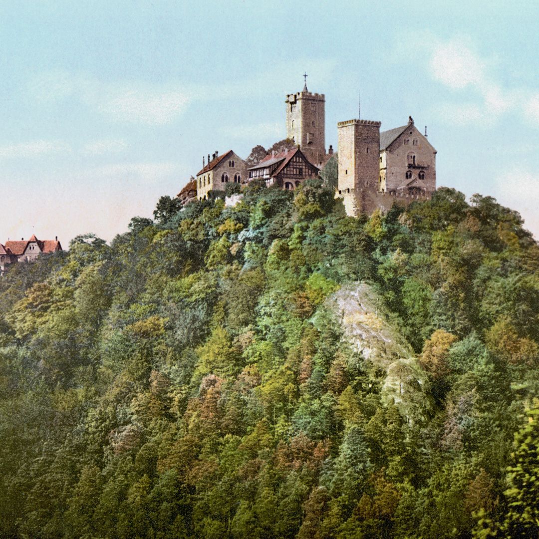 Prayer: Lord Jesus, you have called us to follow you. Grant that our love may not grow cold in your service, and that we may not fail or deny you in the time of trial, for you live and reign with the Father and the Holy Spirit, one God, now and forever. Amen.  (ELW)