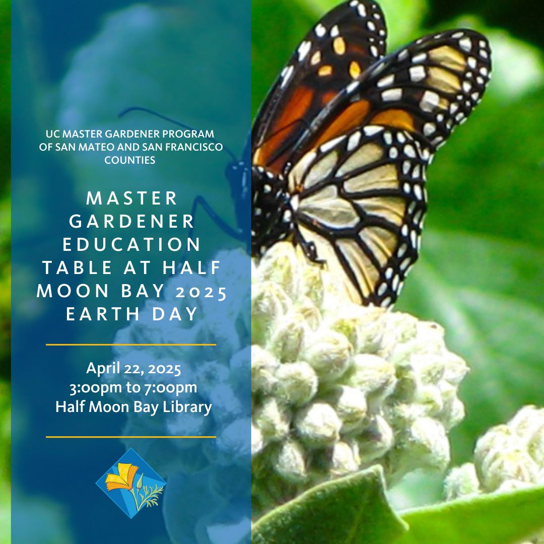 SMSF MasterGardeners tweet media