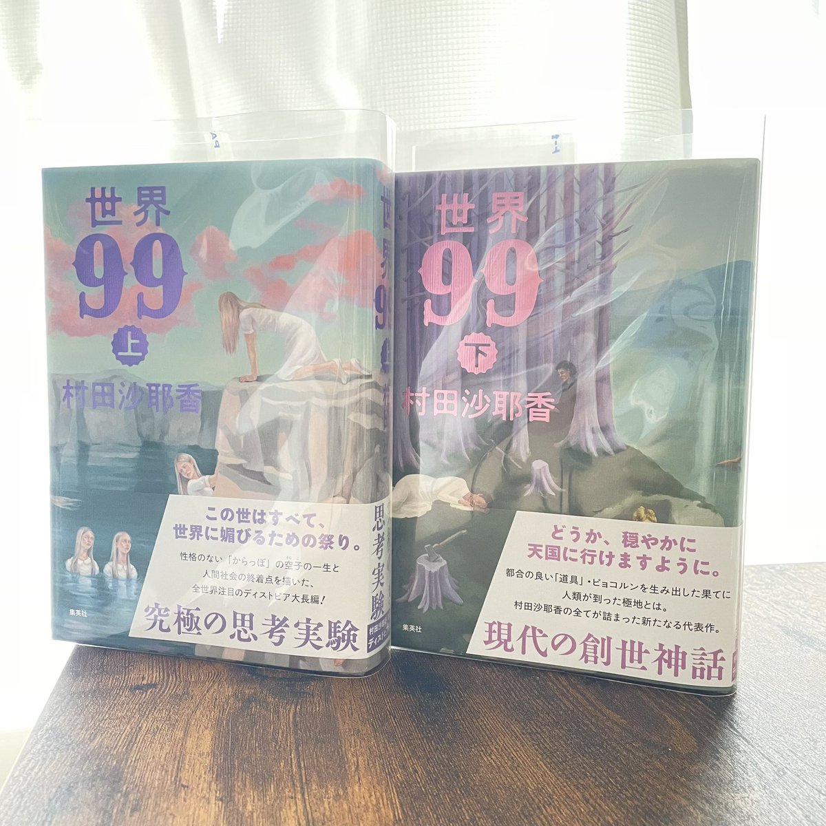世界99
村田沙耶香

私は好きだけどおすすめするなら人は選ぶ1冊

呼応しトレースする、最初聞くとうわぁと思うけど、誰もが1度はした事があると思う

ピョコルンがいるからまだ物語だと思えるけど、今でも当てはめる事ができこの世界が来る事はないとは言い切れない

#読了
#読書好きな人と繋がりたい