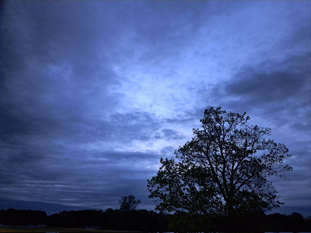 Nathan Woodard tweet media