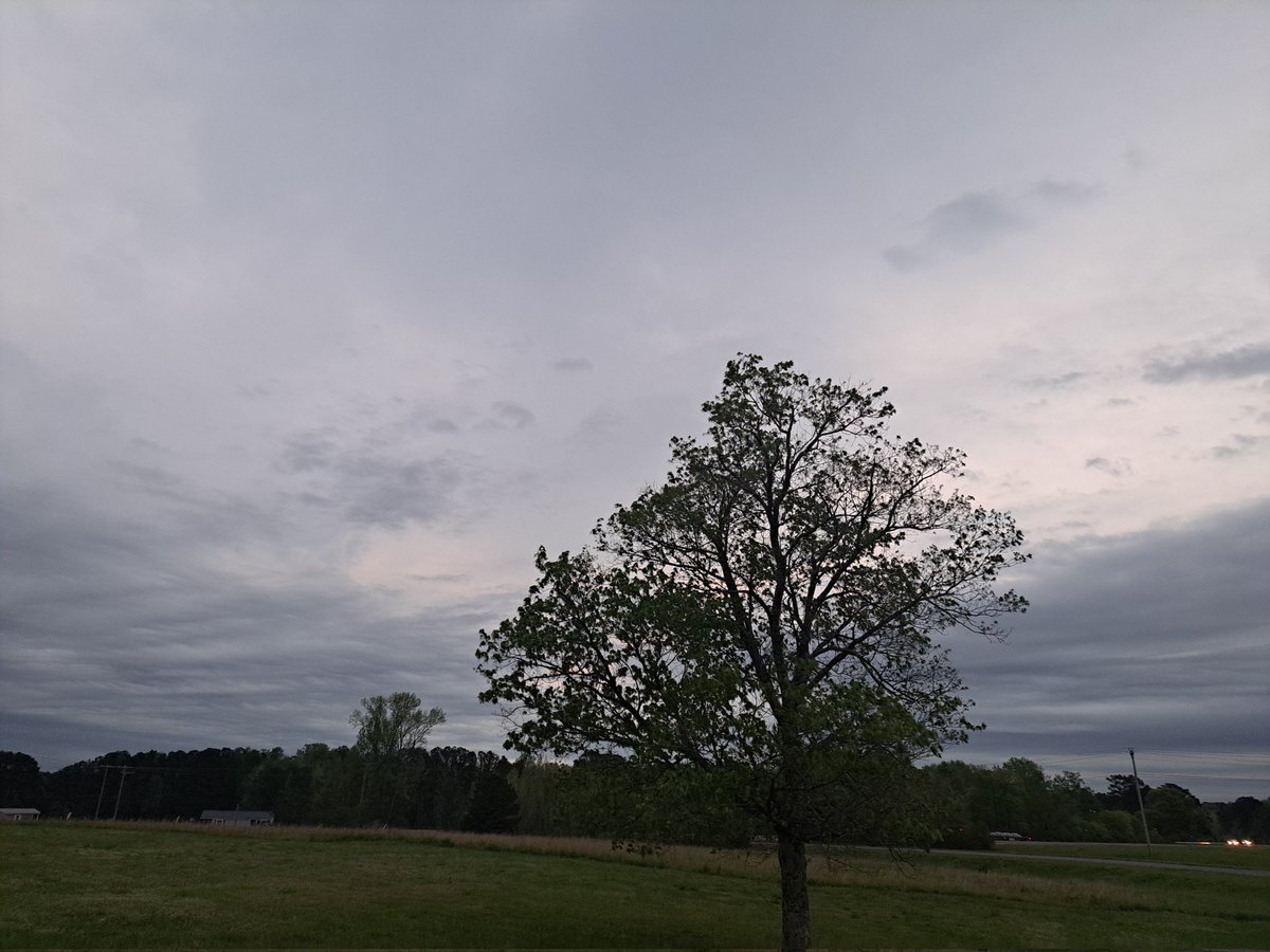 Nathan Woodard tweet media