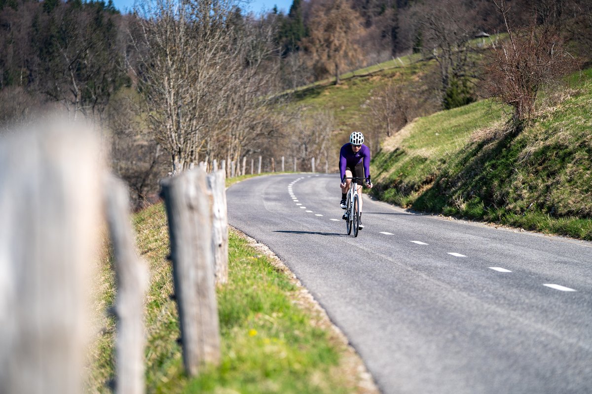 Robert Sedovšek tweet media