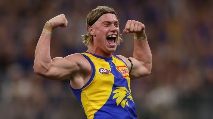 aflratings.com.au tweet media