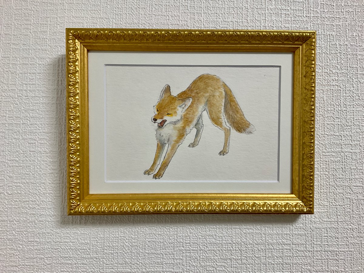 夏毛」 税込価格 15,000円 +送料 レターパック600円ご負担お願い致し