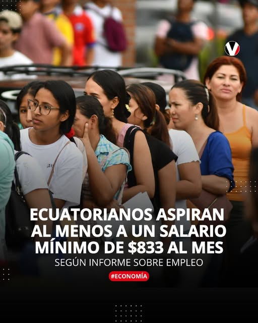revistavistazo's tweet photo. #LoMásLeído | 📊 💵 #Ecuatorianos aspiran a un salario mínimo de $833. Según #Multitrabajos, esta cifra, basada en postulaciones laborales, supera el costo de la Canasta Familiar Básica ($800). https://t.co/gYUB4H1cbL https://t.co/3RjxKrASrr