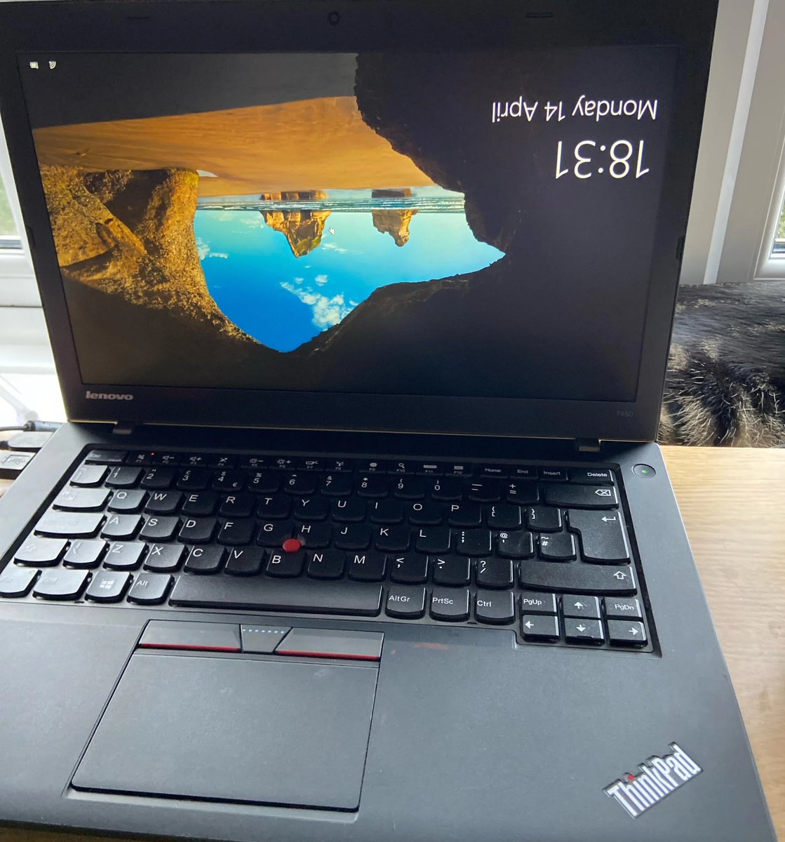 rocky111_'s tweet image. My cat walked over my keyboard when I wasn&apos;t in the room. How do I fix this 😭

#pchacks #meme #elonmusk #lenovo