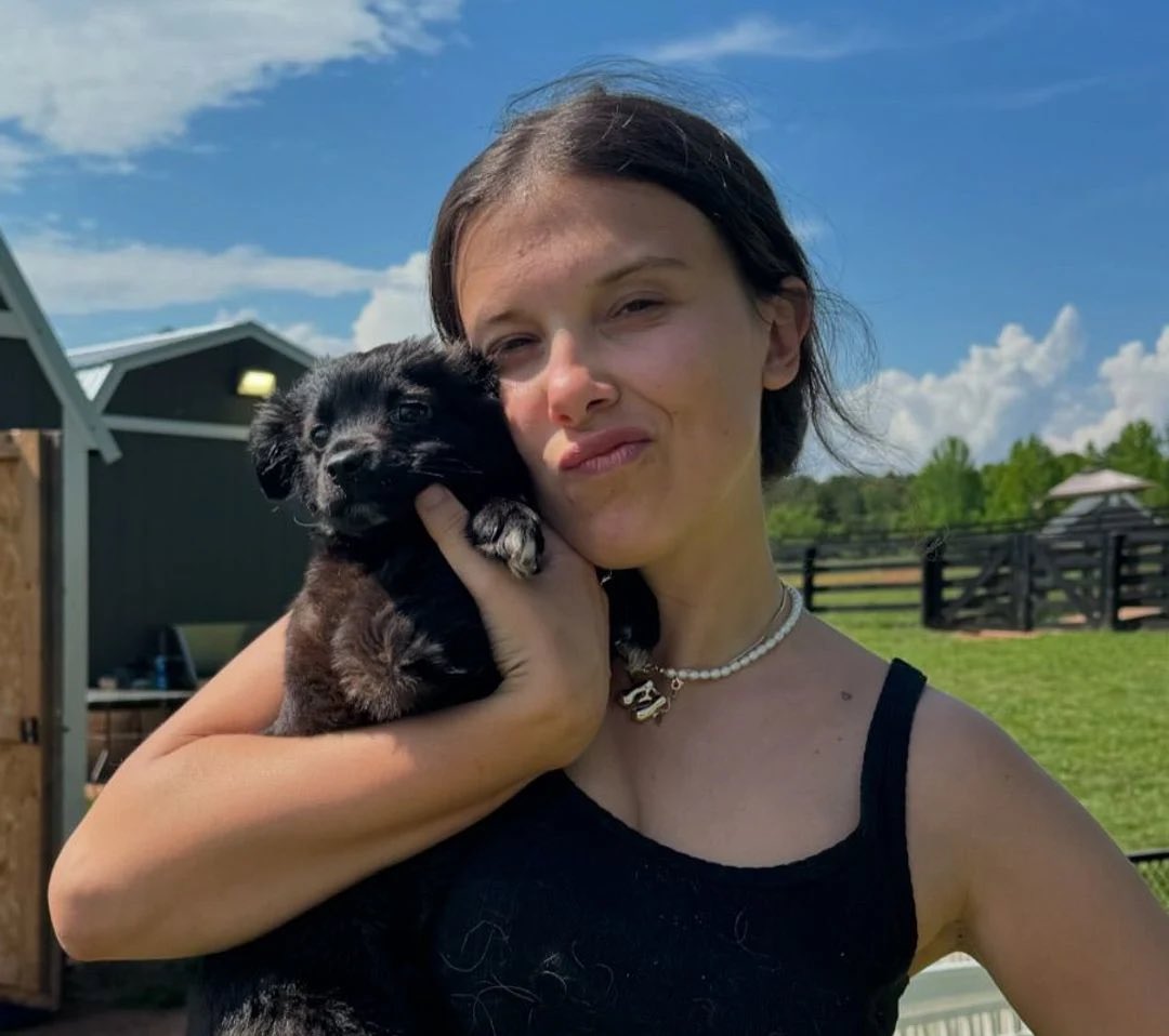 GossipRoomOff's tweet image. 🚨 Millie Bobby Brown transforme sa ferme en refuge pour animaux ! À seulement 20 ans, l’actrice de Stranger Things prouve qu’elle a le cœur aussi grand que son talent.

Avec son mari Jake Bongiovi, elle a transformé leur ferme en Géorgie en un refuge pour plus de 60 animaux !