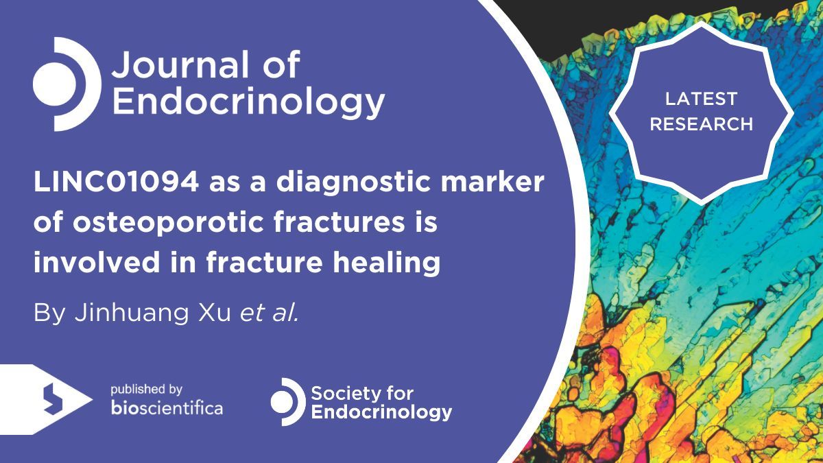 JEndocrinology's tweet image. Jinhuang Xu et al. investigate alterations in the expression of LINC01094 in patients with osteoporotic fractures, evaluate its potential role as a diagnostic biomarker, and explore its effects on osteoblast differentiation. Read it here 👉 doi.org/10.1530/JOE-25…