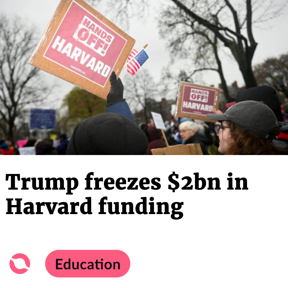 TheOtherweb tweet media