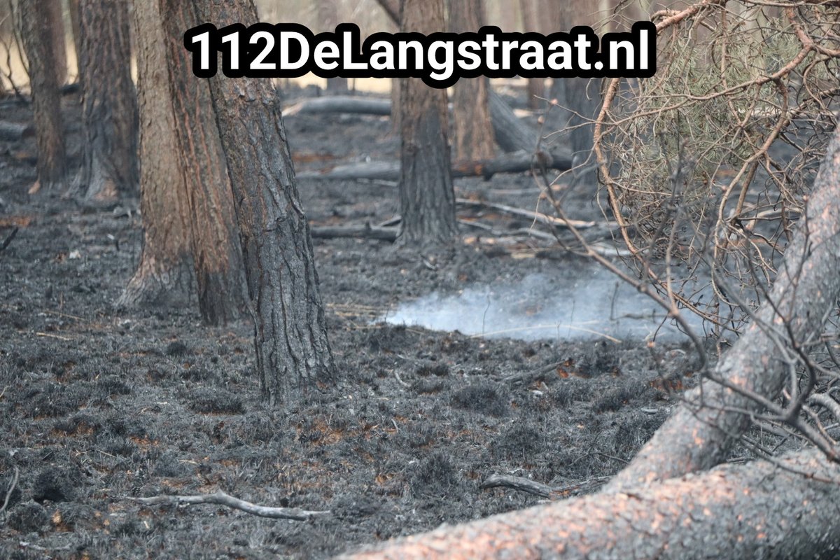 Brandweer massaal ingezet na zeer grote brand in bossen