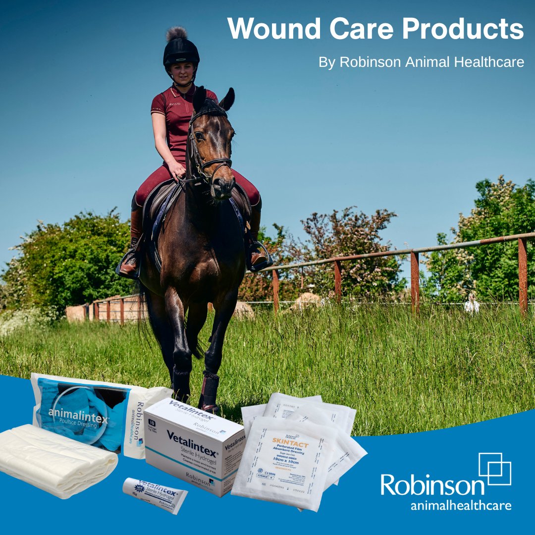 Wound Care Essentials for Every Horse Owner
Even minor wounds need proper care to promote healing and prevent infection. Robinson Animal Healthcare offers a trusted range of wound care essentials that every equestrian should have in their kit #Vetalintex #RobinsonAnimalHealthcare