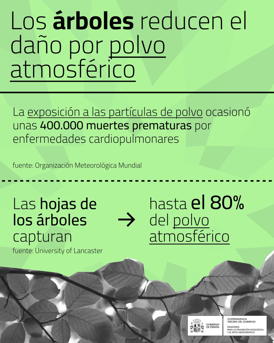Los árboles pueden capturar hasta un 80% del polvo atmosférico 🌳

► La exposición a partículas de polvo provoca enfermedades respiratorias y cardiovasculares

La calidad del aire que respiramos 
 » Es una cuestión de salud pública 💚