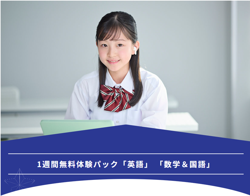 ぶりっじです！1/28まで トリックスター / ZX-10R(21-25) 政府認証スリップオンマフラー