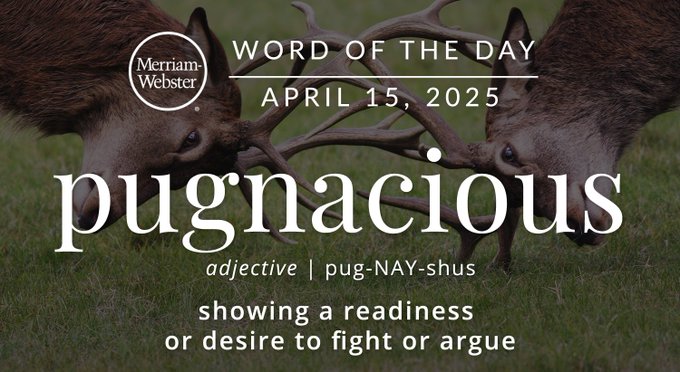 Merriam-Webster Word of the Day April 15, 2025 'pugnacious' adjective | pug-NAY-shus "showing a readiness or desire to fight or argue" Background Image: Two deers butting heads