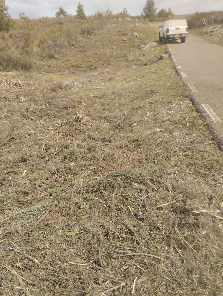 GOClimaforest's tweet image. Prevención de incendios forestales en Valle del Jerte. Junto al Ayuntamiento de Piornal se planifican y ejecutan fajas auxiliares junto a las carreteras para eliminar combustible forestal y usar los caminos como infraestructuras preventivas.