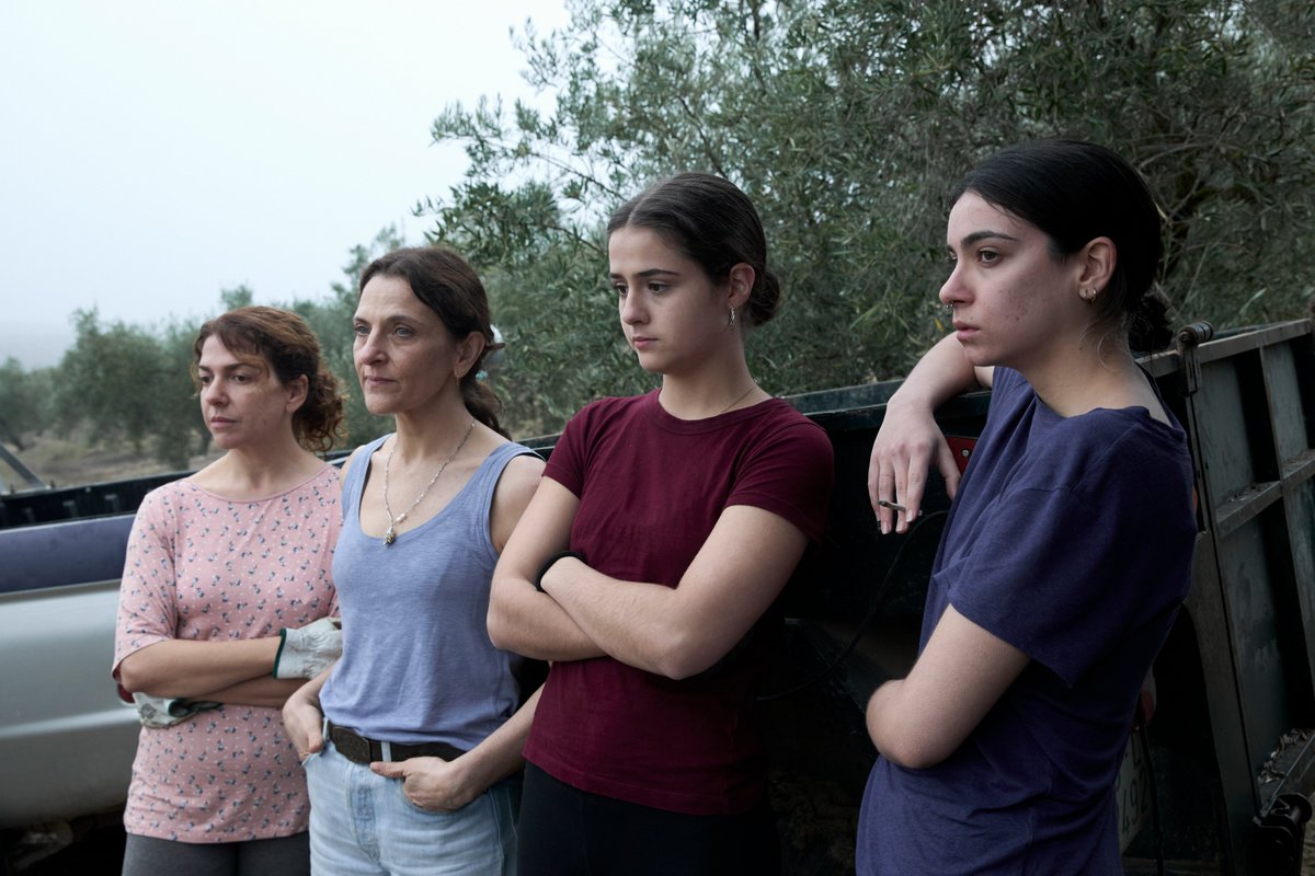 #24ficlpgc
El cine español más fresco lo encontrarás en Panorama España. Una competición en la que largos y cortos dan cuenta de "la riqueza de nuestros jóvenes e inquietos autores y su deseo de explorar más allá en busca de nuevas fronteras fílmicas” (E. Mellado, programadora)